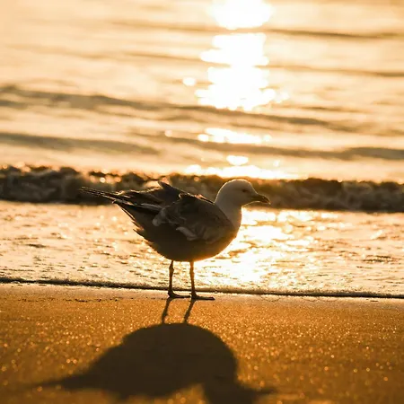 B&beach